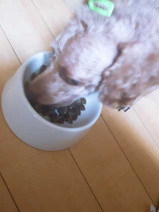 정현님이 올린 리뷰 사진 4