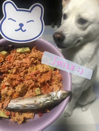 [어글어글] 반려견 친환경 간식 9종 세트 — 4.5점을 준 리뷰어가 2019년 6월 올린 사용 사진
