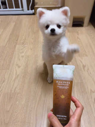 뿌쏘님이 올린 리뷰 사진 1