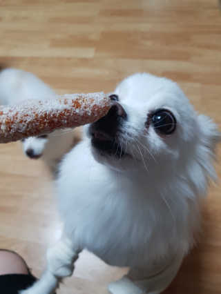 몰리엄마님이 올린 리뷰 사진 4