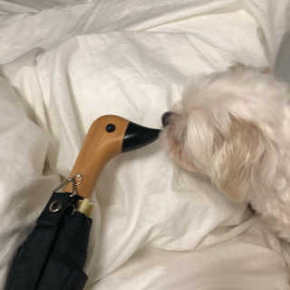 지아님이 올린 리뷰 사진 2