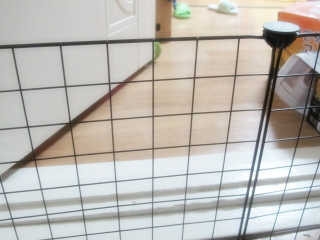 홍블리님이 올린 리뷰 사진 4
