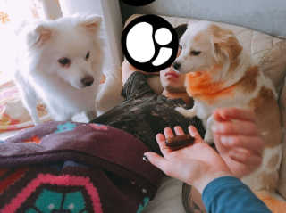 수정님이 올린 리뷰 사진 2