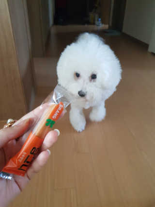 최시아님이 올린 리뷰 사진 3