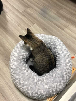 momomom님이 올린 리뷰 사진 2