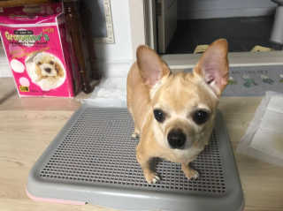 뿅아리뺙님이 올린 리뷰 사진 2