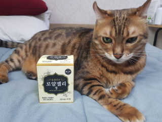 위드님이 올린 리뷰 사진 1