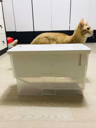 창신리빙 [프랑코 다이얼 계량 쌀통 12kg] 똑똑한 정리 수납 — 4.5점을 준 리뷰어가 2019년 2월 올린 사용 사진