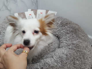 에일린님이 올린 리뷰 사진 4