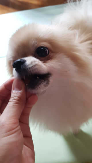 쭌쭌맘님이 올린 리뷰 사진 2