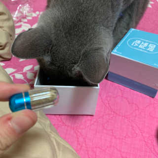 조아조아님이 올린 리뷰 사진 3