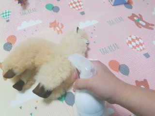 JiYoungRoh님이 올린 리뷰 사진 4