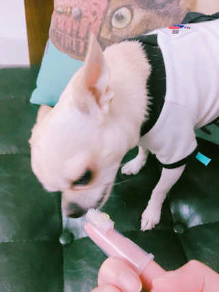 김아름님이 올린 리뷰 사진 3