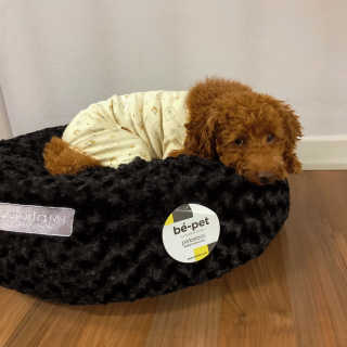 YooJungMin님이 올린 리뷰 사진 3