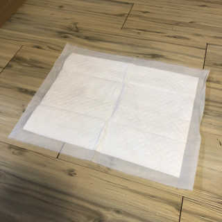 펫토리아 한장뚝딱 NEW 프리미엄 국내산 배변패드 — 5점을 준 리뷰어가 2019년 5월 올린 사용 사진
