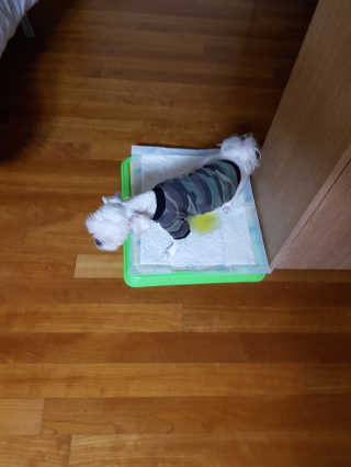 루루님이 올린 리뷰 사진 2