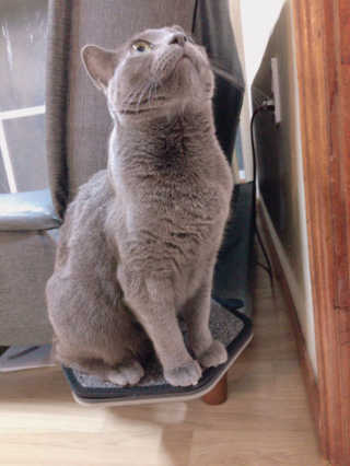 율집사님이 올린 리뷰 사진 2