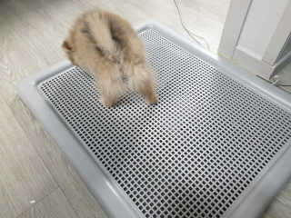 한서윤님이 올린 리뷰 사진 2