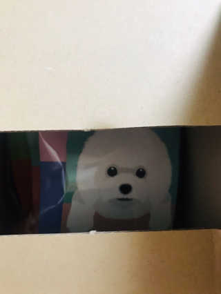 푸디웜 주식회사 [푸디웜] 강아지 저알러지 수제간식 3종세트 — 4.5점을 준 리뷰어가 2018년 12월 올린 사용 사진