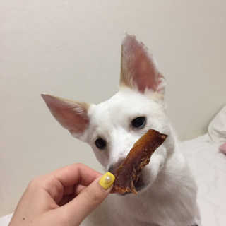 J님이 올린 리뷰 사진 4