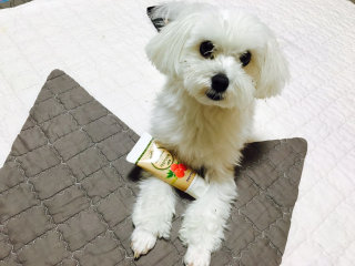 로운맘님이 올린 리뷰 사진 3