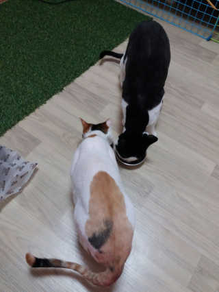 됴이님이 올린 리뷰 사진 3