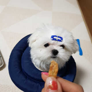 유연희님이 올린 리뷰 사진 2