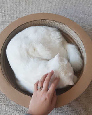 논지님이 올린 리뷰 사진 4