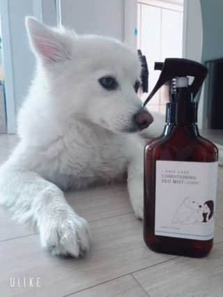 SooYeonKim님이 올린 리뷰 사진 3