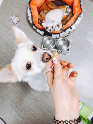 StellaJeong님이 올린 리뷰 사진 2