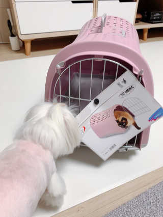쩡돌이님이 올린 리뷰 사진 3