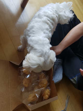 비키님님이 올린 리뷰 사진 2