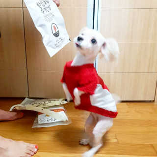이수진님이 올린 리뷰 사진 2