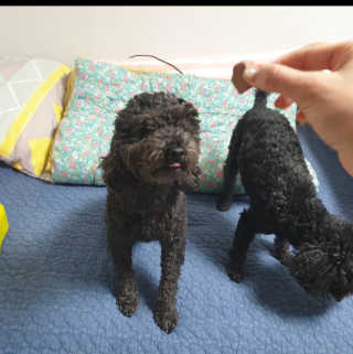 주현하님이 올린 리뷰 사진 4