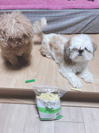 [펫토리아] BEST 한입뚝딱 실속형 강아지 덴탈껌 — 5점을 준 리뷰어가 2019년 2월 올린 사용 사진