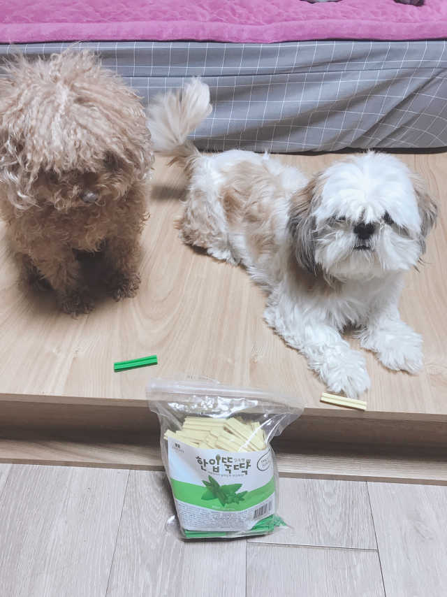 [펫토리아] BEST 한입뚝딱 실속형 강아지 덴탈껌 리뷰 사진