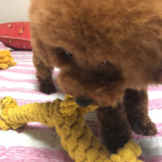 깅쪼니님이 올린 리뷰 사진 2