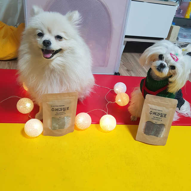 수제과일포 리뷰 사진