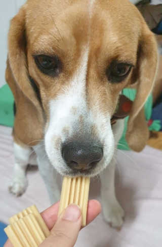 beaglelove님이 올린 리뷰 사진 2