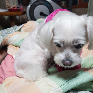 쪄니님이 올린 리뷰 사진 2