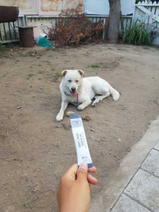 두부누나님이 올린 리뷰 사진 1
