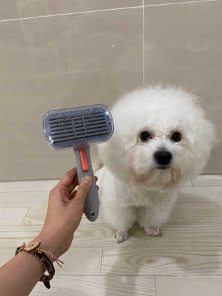 때나님이 올린 리뷰 사진 1