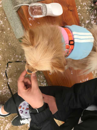연블리님이 올린 리뷰 사진 2