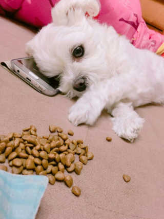 수연님이 올린 리뷰 사진 2