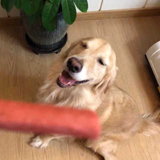 봄이맘님이 올린 리뷰 사진 3