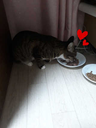 밍밍0님이 올린 리뷰 사진 2