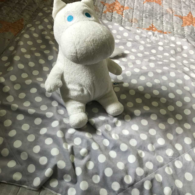 베베누보 더블블랭킷(s) 리뷰 사진