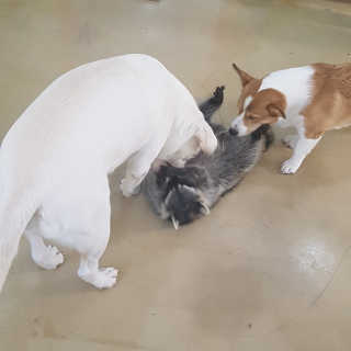짱이야님이 올린 리뷰 사진 4