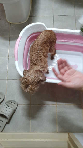 잠주부옥님이 올린 리뷰 사진 3