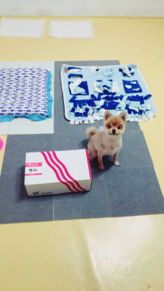 민뉴미님이 올린 리뷰 사진 1